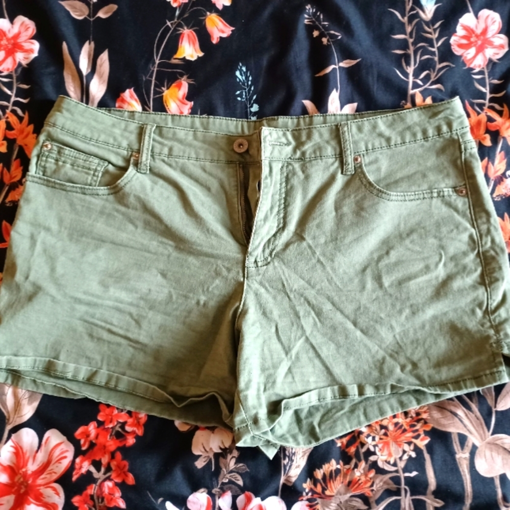 Stretchy and soft green shorts